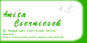 anita csernicsek business card